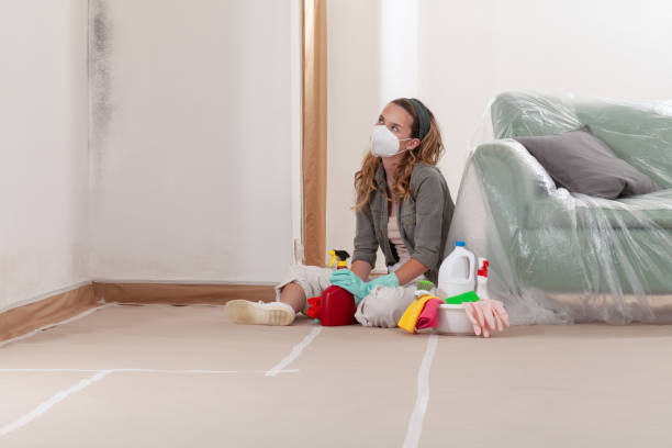 Reliable Mold Testing contractor in Sewell, NJ by WQB Mold Removal